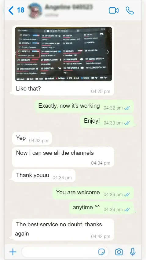 WhatsApp conversation between a subscriber and Pure IPTV support — screenshot 9 of 9